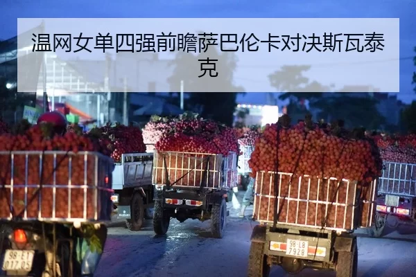 温网女单四强前瞻萨巴伦卡对决斯瓦泰克