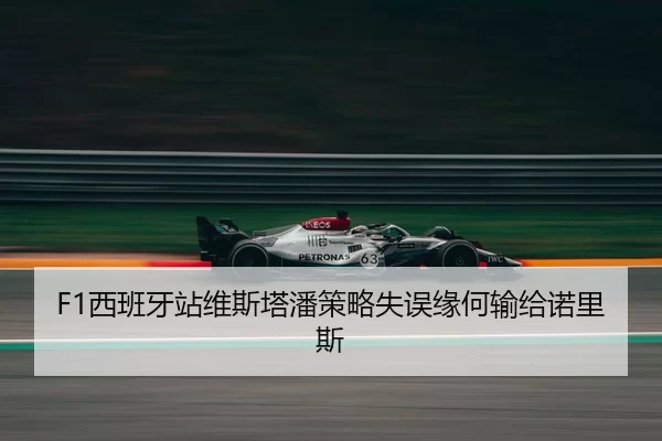 xi-ban-ya-zhan-wei-si-ta-pan-ce-lve-shi-wu-yuan-he-shu-gei-nuo-li-si-2-466.jpg