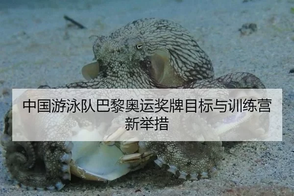 中国游泳队巴黎奥运奖牌目标与训练营新举措