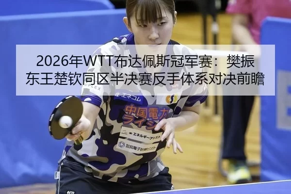 2026年WTT布达佩斯冠军赛：樊振东王楚钦同区半决赛反手体系对决前瞻